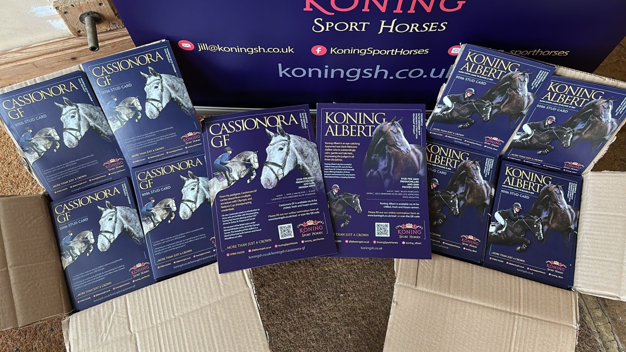 WhatsApp-Image-2026-02-04-at-13.17.06